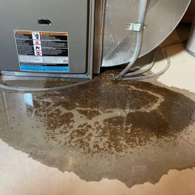 Appliance Leak Cleanup in Richmond, IN